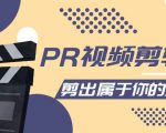 PR视频剪辑课:各种剪辑与视频特效玩法,剪出属于你的大片|淘骐网赚资源库