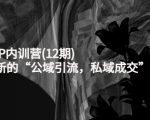 新媒体IP内训营(12期),一套全新的“公域引流,私域成交”IP打法,直接带走|淘骐网赚资源库