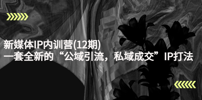 新媒体IP内训营(12期)，一套全新的“公域引流，私域成交”IP打法，直接带走|淘骐网赚资源库