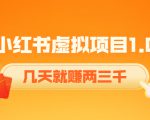 《小红书虚拟项目1.0》账号注册+养号+视频制作+引流+变现，几天就赚两三千|淘骐网赚资源库