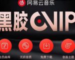 网易云音乐撸黑胶年卡及变现方法,收益可无限放大|淘骐网赚资源库