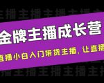 金牌主播成长营,一周从直播小白入门带货主播,让直播更简单|淘骐网赚资源库