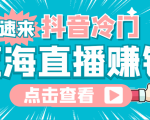 最新抖音冷门简单的蓝海直播赚钱玩法,流量大知道的人少,可做到全无人直播|淘骐网赚资源库