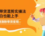 最新抖音冷门简单的蓝海直播赚钱玩法,流量大知道的人少,可做到全无人直播|淘骐网赚资源库