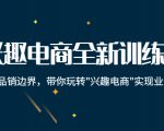 兴趣电商全新训练营:打破品销边界,带你玩转“兴趣电商“实现业务增长|淘骐网赚资源库