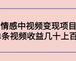 副业孵化营第5期:抖音情感中视频变现项目孵化 单条视频收益几十上百|淘骐网赚资源库
