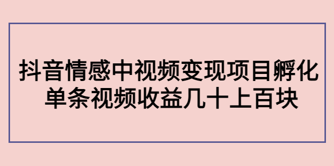 副业孵化营第5期:抖音情感中视频变现项目孵化 单条视频收益几十上百|淘骐网赚资源库