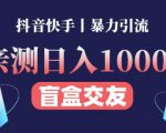日收益1000+的交友盲盒副业丨有手就行的抖音快手暴力引流|淘骐网赚资源库