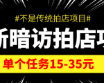 最新暗访拍店信息差项目,单个任务15-35元(不是传统拍店项目)|淘骐网赚资源库