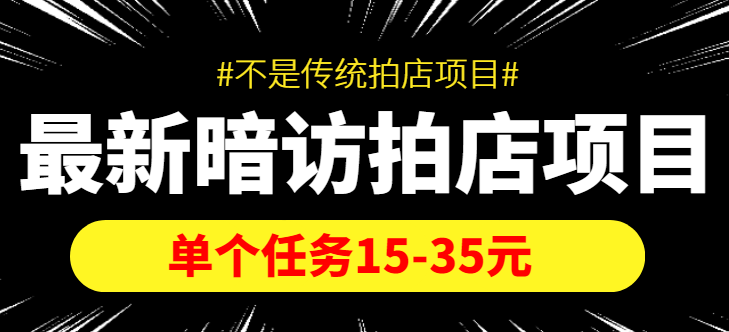 最新暗访拍店信息差项目,单个任务15-35元(不是传统拍店项目)|淘骐网赚资源库