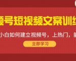 视频号短视频文案训练营:0基础小白如何建立视频号,上热门,能卖货!|淘骐网赚资源库