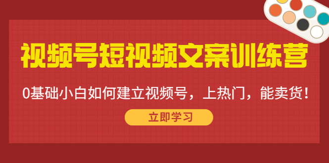视频号短视频文案训练营:0基础小白如何建立视频号,上热门,能卖货!|淘骐网赚资源库
