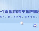 从0-1直播带货主播养成记,直播带货人、货、场策略,结果导向,数据说话|淘骐网赚资源库