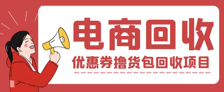 外面收费388的电商回收项目，一单利润100+|淘骐网赚资源库