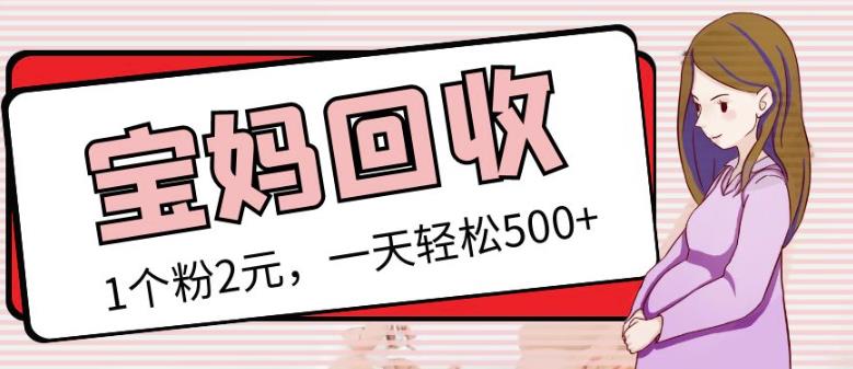 最新小红书母婴号宝妈粉回收项目,1个粉2元,一天轻松500+案例分享【粉丝包回收】|淘骐网赚资源库