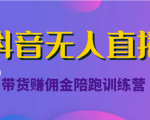 抖音无人直播带货赚佣金陪跑训练营(价值6980元)|淘骐网赚资源库