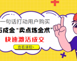 点石成金“卖点炼金术”一句话打动用户购买，快速激活成交！|淘骐网赚资源库