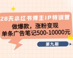 28天小红书博主IP特训营《第9期》做爆款,涨粉变现 单条广告笔记500-10000|淘骐网赚资源库
