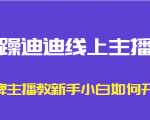 暴躁迪迪线上主播课,金牌主播教新手小白如何开播|淘骐网赚资源库