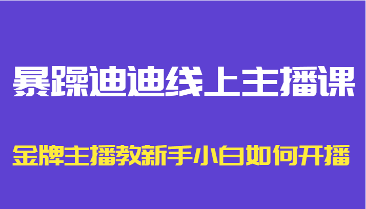 暴躁迪迪线上主播课,金牌主播教新手小白如何开播|淘骐网赚资源库