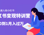 小红书变现特训营:带你快速入局小红书,从0到1月入过万|淘骐网赚资源库