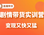 《剧情带货实训营》目前最好的直播带货方式,变起现来是又快又猛(价值980元)|淘骐网赚资源库