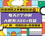 吃瓜项目之不要脸玩法,每天2小时,收益300+(附 快手美女号引流+吃瓜渠道)|淘骐网赚资源库