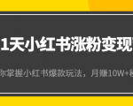 21天小红书涨粉变现营(第4期):带你掌握小红书爆款玩法,月赚10W+秘密|淘骐网赚资源库