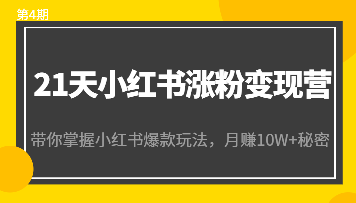 21天小红书涨粉变现营（第4期）：带你掌握小红书爆款玩法，月赚10W+秘密|淘骐网赚资源库