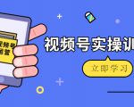微信视频号实操训练营:视频号起号运营纯干货玩法!|淘骐网赚资源库