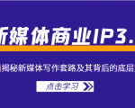 新媒体商业IP3.0，全面揭秘新媒体写作套路及其背后的底层逻辑（价值1299元）|淘骐网赚资源库