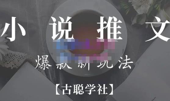 小说推文矩阵号群爆单新玩法，引流技巧+爆款实操+矩阵号玩法，百倍效益、百万播放秘笈|淘骐网赚资源库