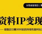 资料IP变现,能稳定日赚3000起的持续性盈利玩法|淘骐网赚资源库