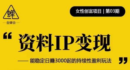 资料IP变现,能稳定日赚3000起的持续性盈利玩法|淘骐网赚资源库