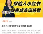 保险人小红书获客成交训练营,0基础高效玩转小红书,可复制的获客成交之路|淘骐网赚资源库