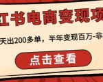 顽石·小红书电商变现项目,实测当天出200多单,半年变现百万,非常稳定|淘骐网赚资源库