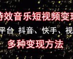 黄岛主《粒子特效音乐短视频变现项目》主攻平台抖音、快手、视频号多种变现方法|淘骐网赚资源库