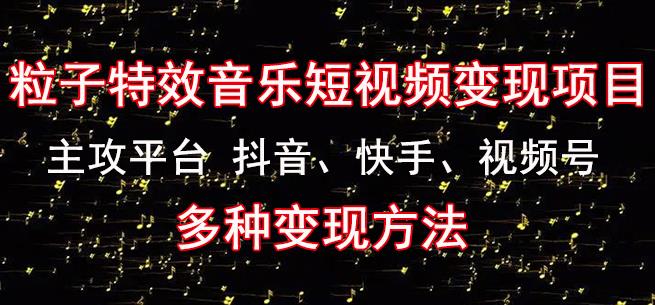 黄岛主《粒子特效音乐短视频变现项目》主攻平台抖音、快手、视频号多种变现方法|淘骐网赚资源库