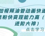 短视频油管动画快速制作涨粉快变现能力高(0基础进阶大神)|淘骐网赚资源库