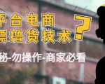 外面收费2980的全平台电商白嫖撸货技术(仅揭秘勿操作-商家防范必看)|淘骐网赚资源库