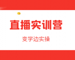 直播实训营,变学边实操,成为运营型主播,拉动直播间人气|淘骐网赚资源库