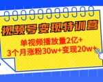 21天视频号变现特训营：单视频播放量2亿+3个月涨粉30w+变现20w+（第14期）|淘骐网赚资源库