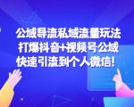 公域导流私域流量玩法:打爆抖音+视频号公域,快速引流到个人微信!|淘骐网赚资源库