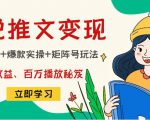 小说推文训练营:引流技巧+爆款实操+矩阵号玩法,百倍效益、百万播放秘笈|淘骐网赚资源库