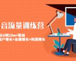 美业抖音流量训练营:从0到10w+粉丝 让你的门店用户增长+业绩增长+利润增长|淘骐网赚资源库