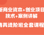 新商业资本+创业项目,技术+案例讲解,精英进阶班全套课程|淘骐网赚资源库