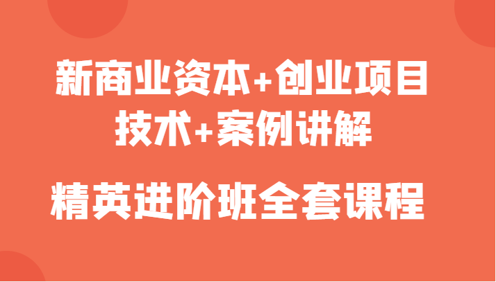 新商业资本+创业项目,技术+案例讲解,精英进阶班全套课程|淘骐网赚资源库