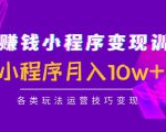 抖音赚钱小程序变现训练营:小程序月入10w+各类玩法运营技巧变现|淘骐网赚资源库