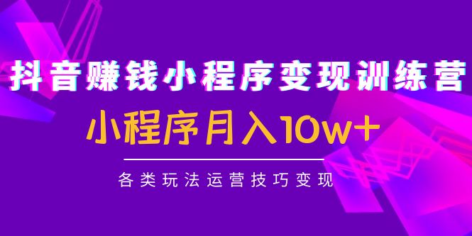 抖音赚钱小程序变现训练营:小程序月入10w+各类玩法运营技巧变现|淘骐网赚资源库