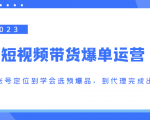 2023短视频带货爆单运营,从账号定位到学会选预爆品,到代理完成出单(价值1250元)|淘骐网赚资源库